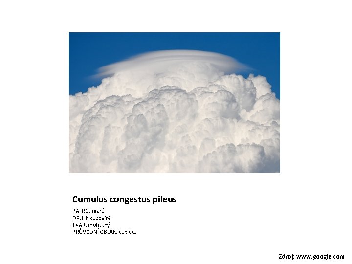 Cumulus congestus pileus PATRO: nízké DRUH: kupovitý TVAR: mohutný PRŮVODNÍ OBLAK: čepička Zdroj: www.