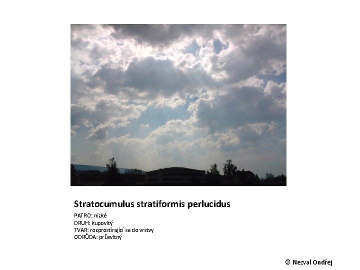 Stratocumulus stratiformis perlucidus PATRO: nízké DRUH: kupovitý TVAR: rozprostírající se do vrstvy ODRŮDA: průsvitný