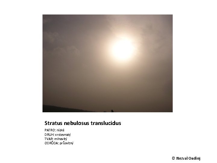 Stratus nebulosus translucidus PATRO: nízké DRUH: vrstevnatý TVAR: mlhovitý ODRŮDA: průsvitný © Nezval Ondřej