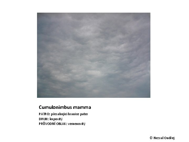 Cumulonimbus mamma PATRO: přesahující hranice pater DRUH: kupovitý PRŮVODNÍ OBLAK: vemenovitý © Nezval Ondřej