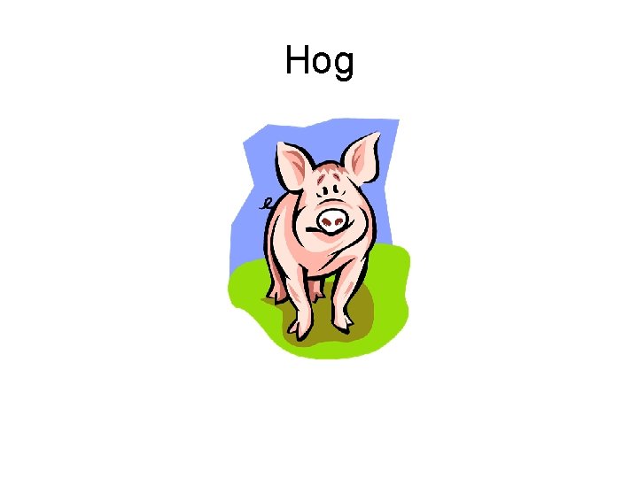 Hog 