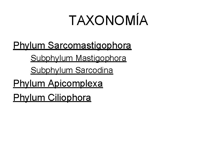 TAXONOMÍA Phylum Sarcomastigophora Subphylum Mastigophora Subphylum Sarcodina Phylum Apicomplexa Phylum Ciliophora 