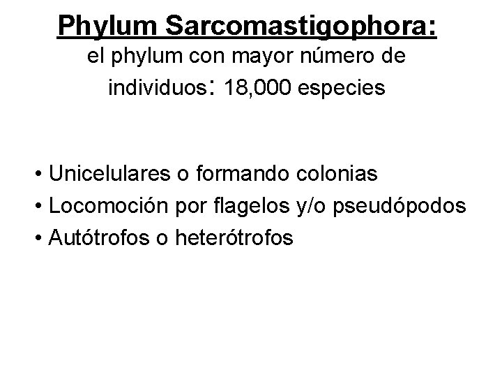 Phylum Sarcomastigophora: el phylum con mayor número de individuos: 18, 000 especies • Unicelulares