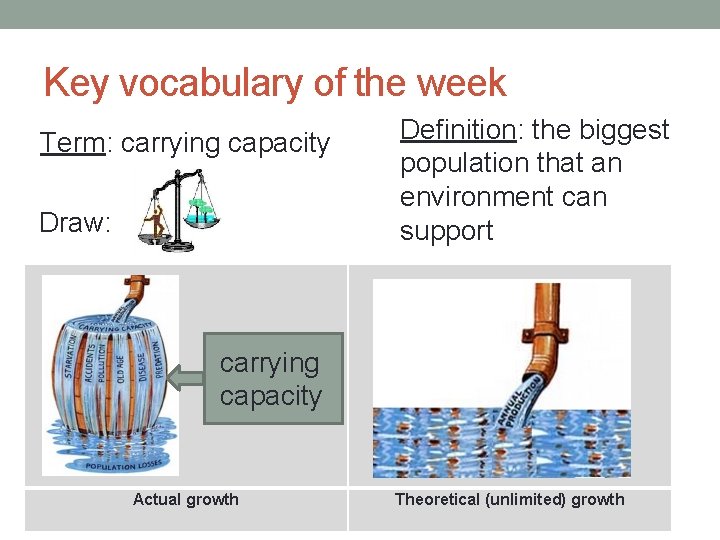 Key vocabulary of the week Term: carrying capacity Draw: Definition: the biggest population that