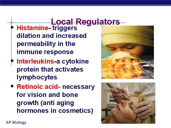 Local Regulators § Histamine- triggers § § dilation and increased permeability in the immune