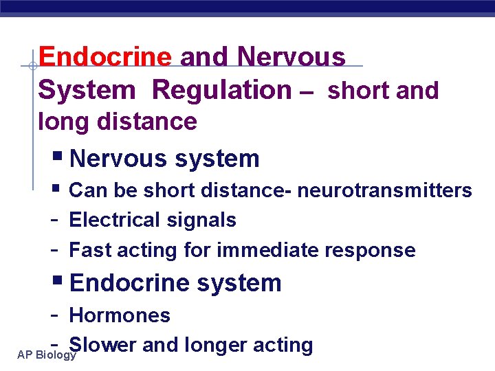 Endocrine and Nervous System Regulation – short and long distance § Nervous system §