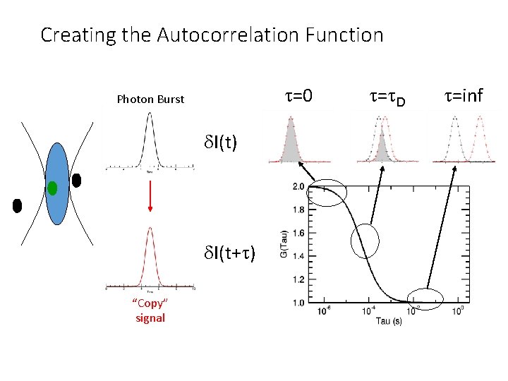 Creating the Autocorrelation Function t=0 Photon Burst d. I(t) d. I(t+t) “Copy” signal t=t.