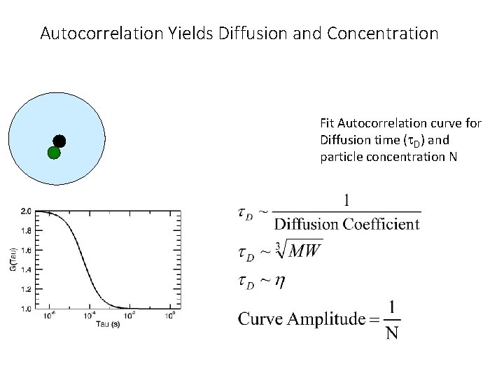 Autocorrelation Yields Diffusion and Concentration Fit Autocorrelation curve for Diffusion time (t. D) and