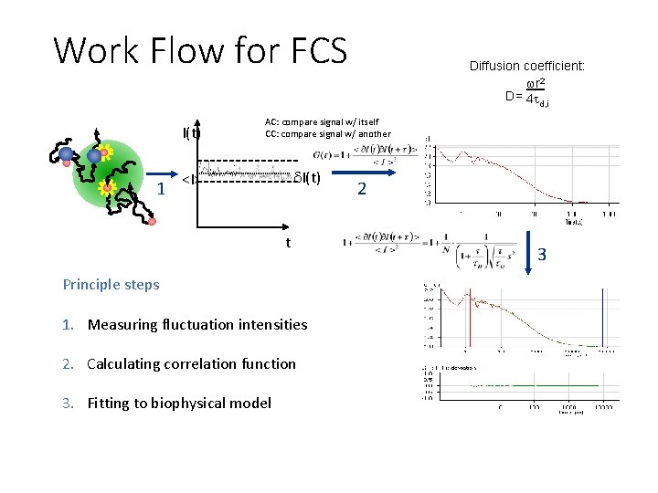Work Flow for FCS I(t) 1 Diffusion coefficient: wr 2 D= 4 t d,
