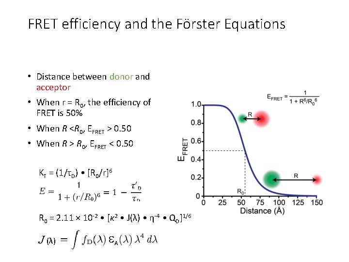 FRET efficiency and the Förster Equations • Distance between donor and acceptor • When