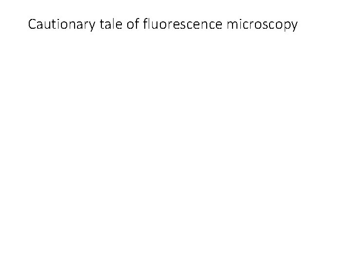 Cautionary tale of fluorescence microscopy 