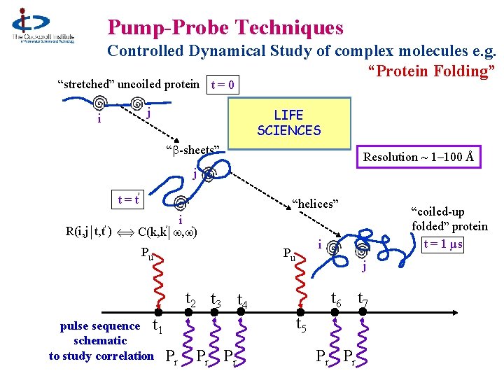 Pump-Probe Techniques Controlled Dynamical Study of complex molecules e. g. “Protein Folding” “stretched” uncoiled