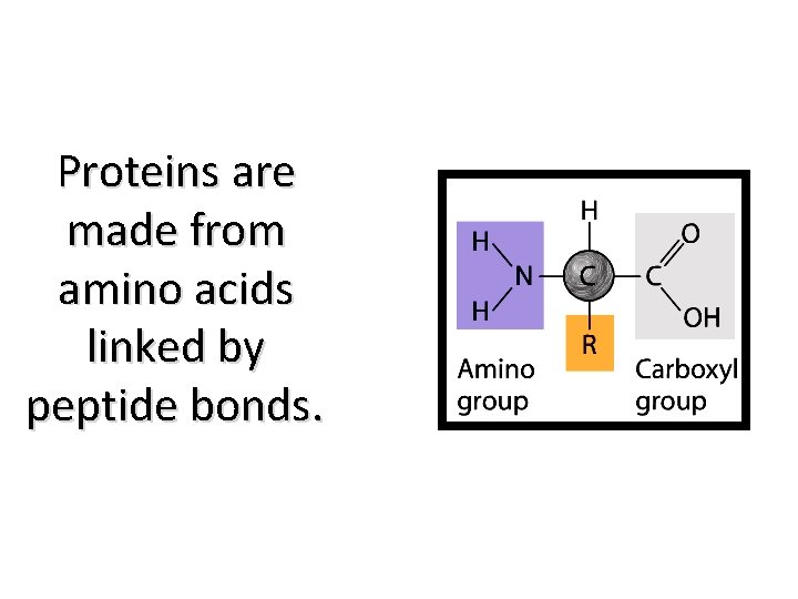 Biology 1 BIO 101 Chapter 1 The Chemistry
