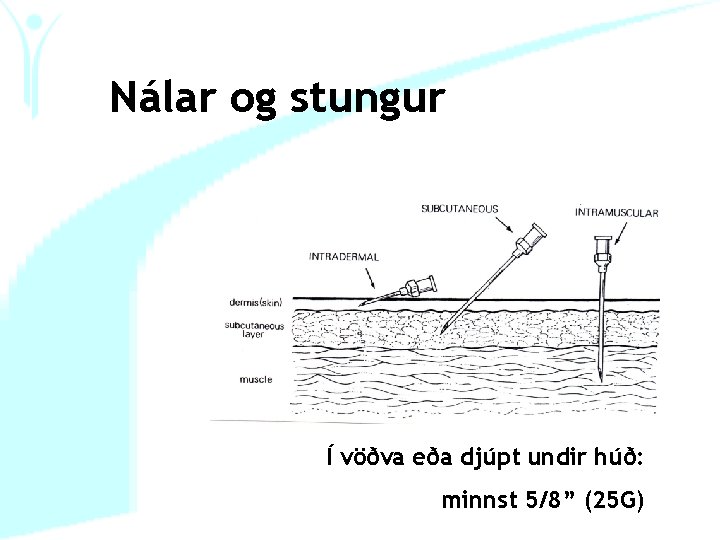 Nálar og stungur Í vöðva eða djúpt undir húð: minnst 5/8” (25 G) 