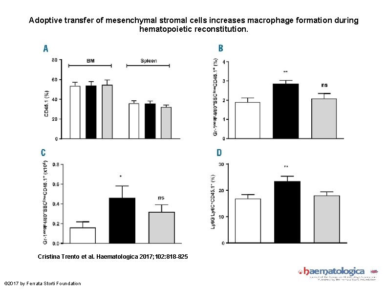 Adoptive transfer of mesenchymal stromal cells increases macrophage formation during hematopoietic reconstitution. Cristina Trento