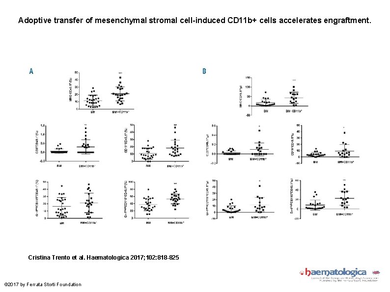 Adoptive transfer of mesenchymal stromal cell-induced CD 11 b+ cells accelerates engraftment. Cristina Trento