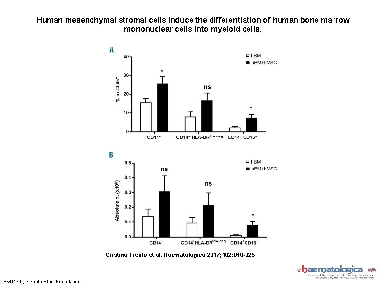 Human mesenchymal stromal cells induce the differentiation of human bone marrow mononuclear cells into