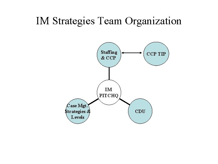 IM Strategies Team Organization Staffing & CCP TIP IM PITCHQ Case Mgt. Strategies &