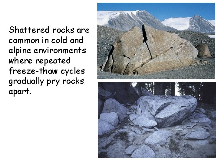 Shattered rocks are common in cold and alpine environments where repeated freeze-thaw cycles gradually