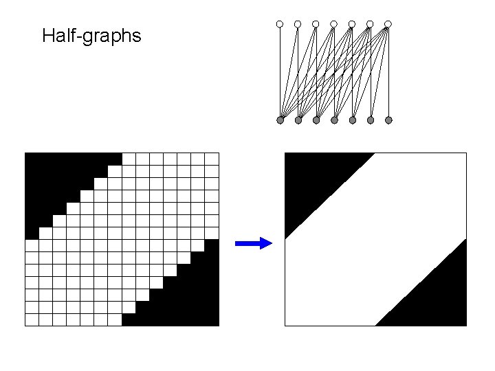 Half-graphs 