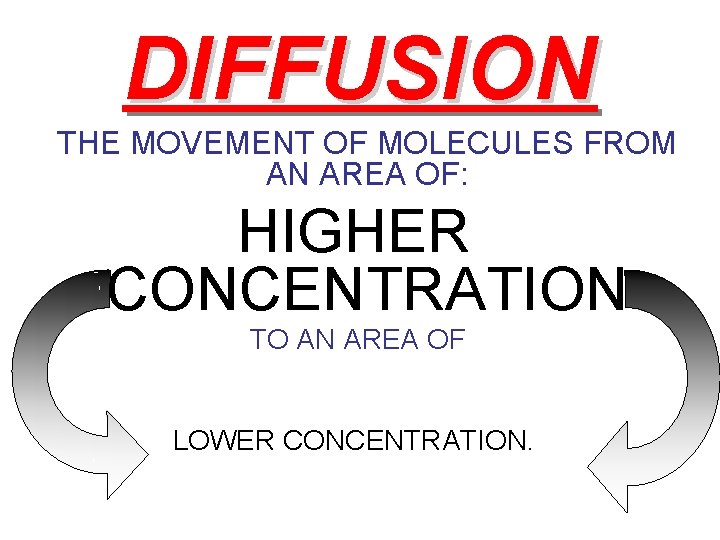 DIFFUSION THE MOVEMENT OF MOLECULES FROM AN AREA OF: HIGHER CONCENTRATION TO AN AREA