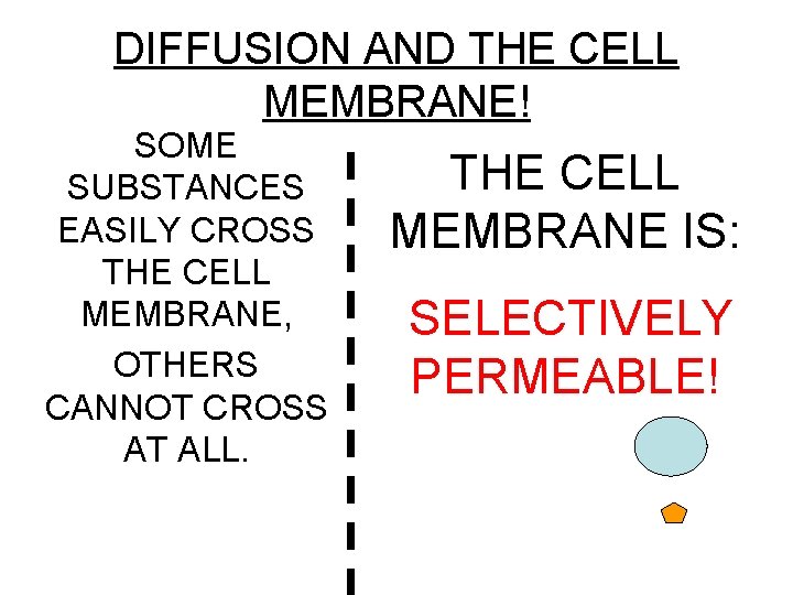 DIFFUSION AND THE CELL MEMBRANE! SOME SUBSTANCES EASILY CROSS THE CELL MEMBRANE, OTHERS CANNOT