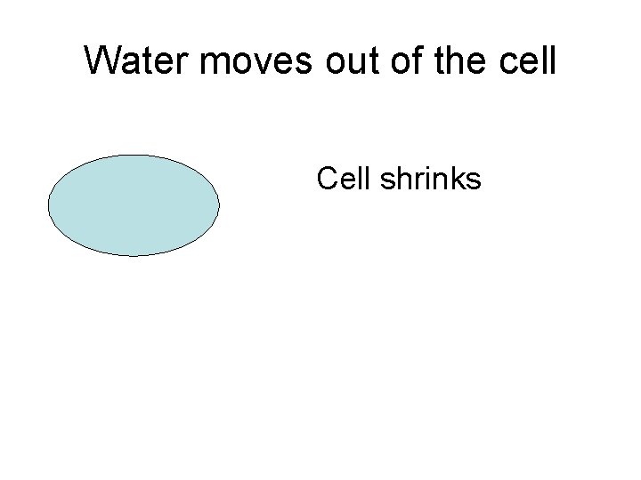 Water moves out of the cell Cell shrinks 