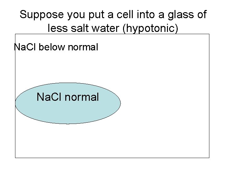 Suppose you put a cell into a glass of less salt water (hypotonic) Na.