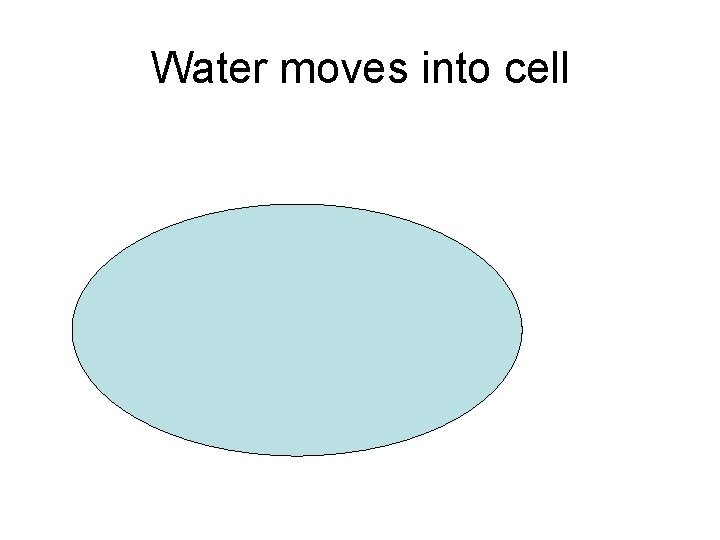 Water moves into cell 