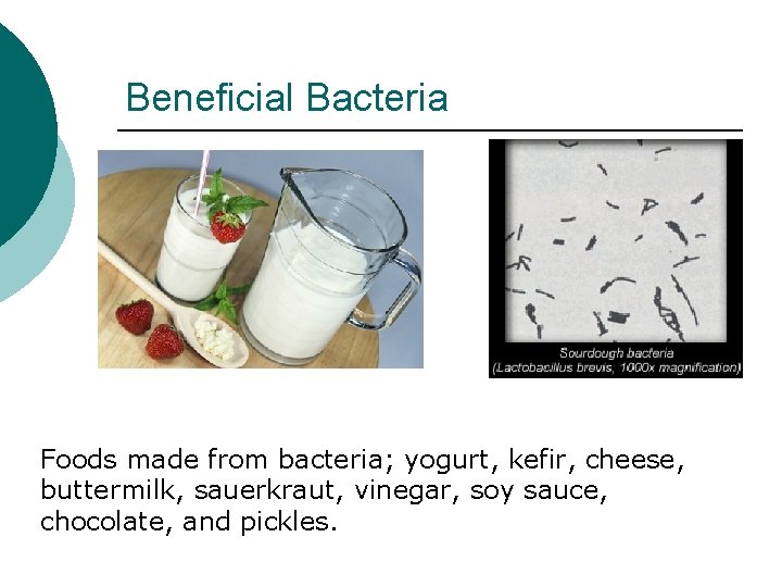 Chapter 7 Bacteria Archaea Kingdoms What is a