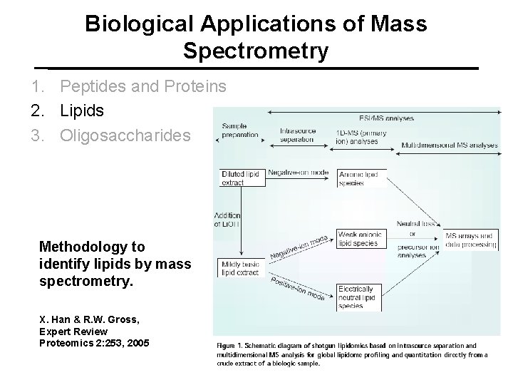 Biological Applications of Mass Spectrometry 1. Peptides and Proteins 2. Lipids 3. Oligosaccharides Methodology