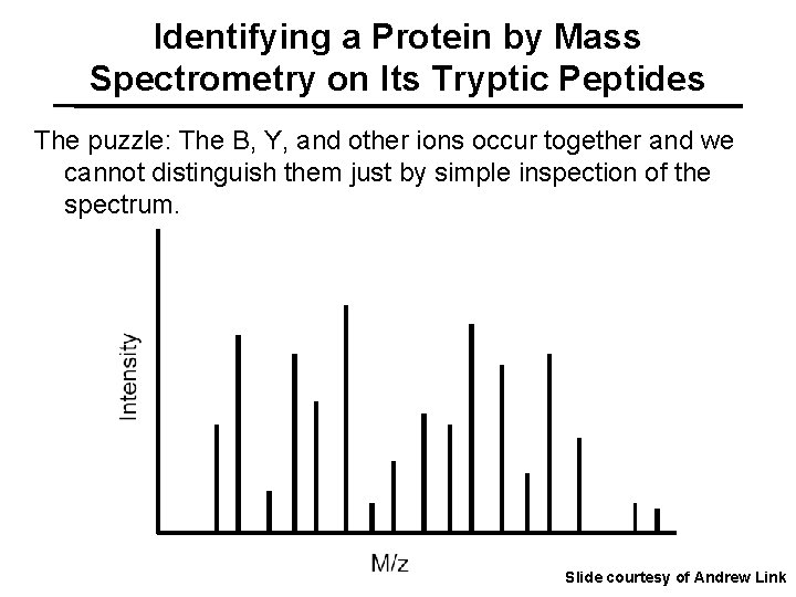 Identifying a Protein by Mass Spectrometry on Its Tryptic Peptides The puzzle: The B,