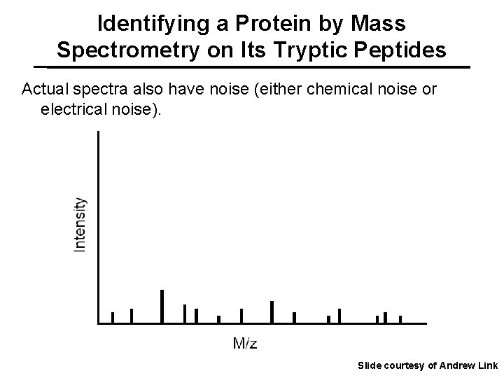 Identifying a Protein by Mass Spectrometry on Its Tryptic Peptides Actual spectra also have