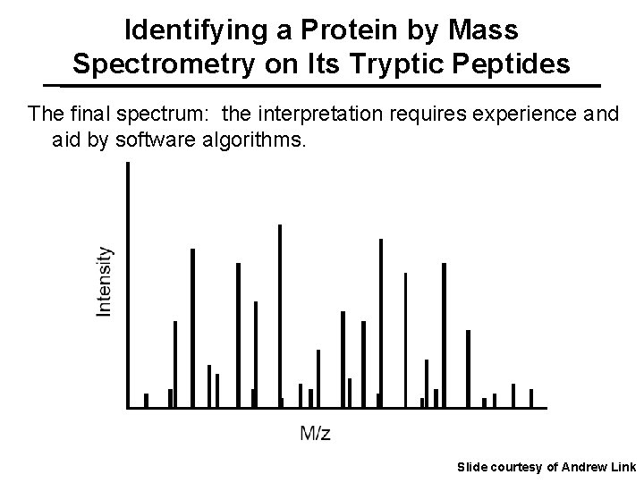 Identifying a Protein by Mass Spectrometry on Its Tryptic Peptides The final spectrum: the