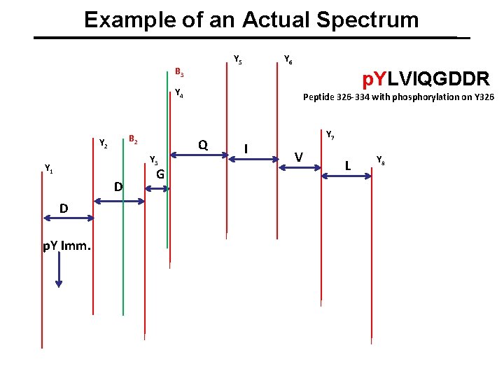 Example of an Actual Spectrum Y 5 B 3 Y 6 p. YLVIQGDDR Y