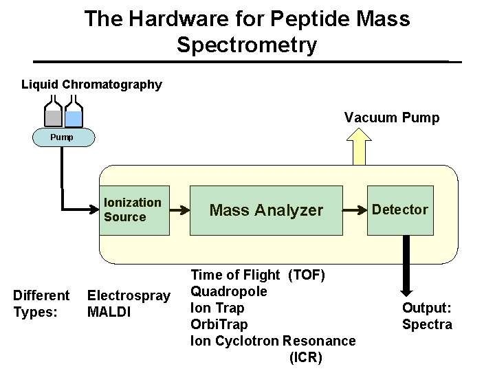 The Hardware for Peptide Mass Spectrometry Liquid Chromatography Vacuum Pump Ionization Source Different Types: