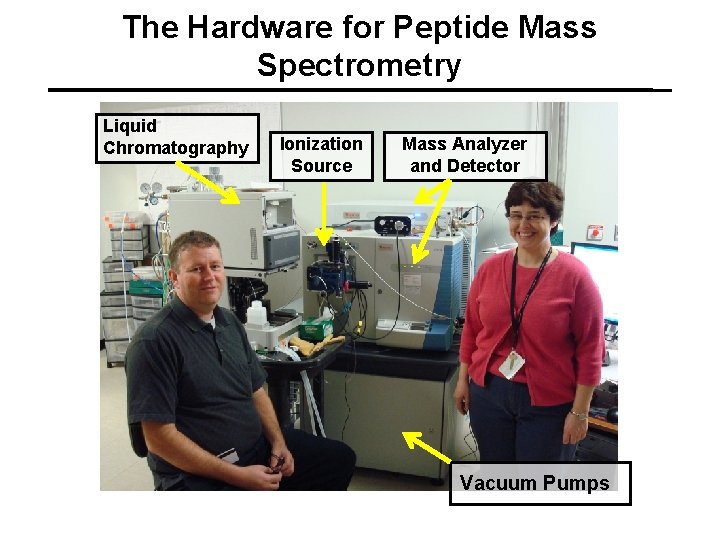 The Hardware for Peptide Mass Spectrometry Liquid Chromatography Ionization Source Mass Analyzer and Detector