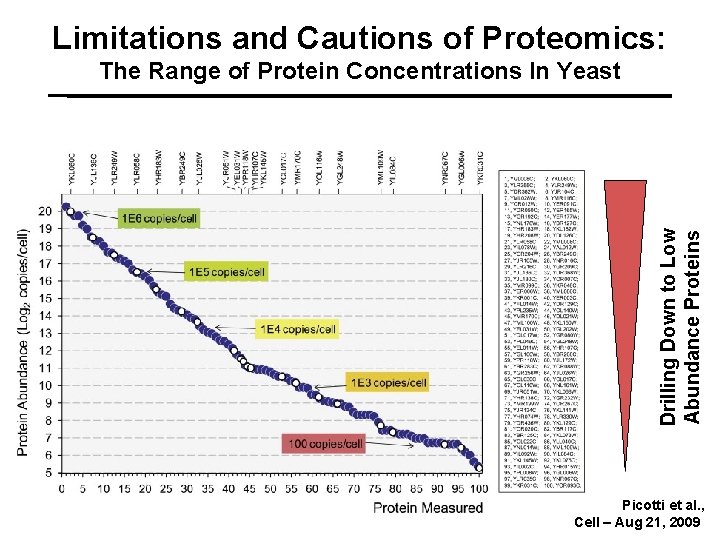 Limitations and Cautions of Proteomics: Drilling Down to Low Abundance Proteins The Range of