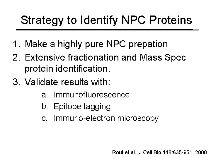 Strategy to Identify NPC Proteins 1. Make a highly pure NPC prepation 2. Extensive