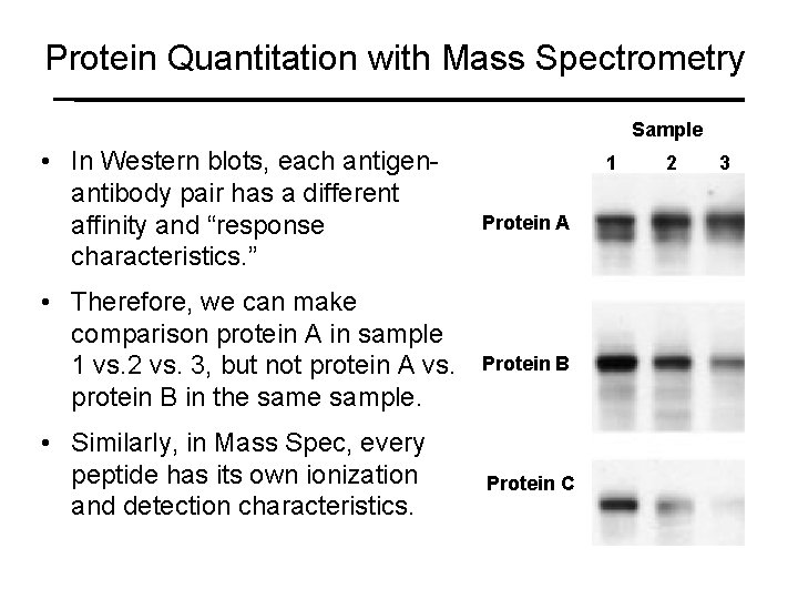 Protein Quantitation with Mass Spectrometry Sample • In Western blots, each antigenantibody pair has