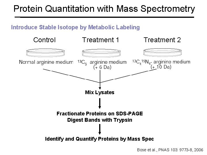 Protein Quantitation with Mass Spectrometry Introduce Stable Isotope by Metabolic Labeling Control Treatment 1