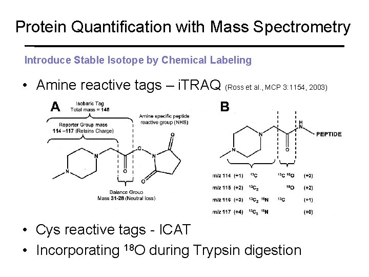 Protein Quantification with Mass Spectrometry Introduce Stable Isotope by Chemical Labeling • Amine reactive