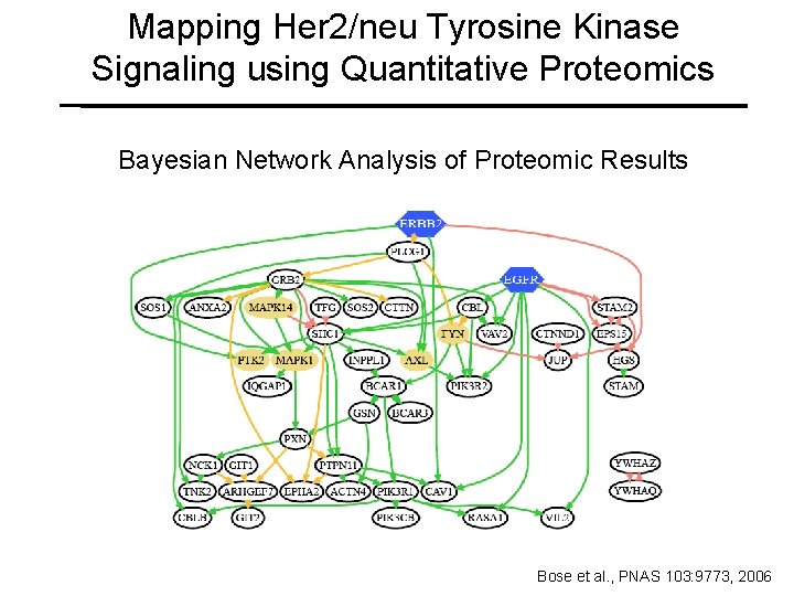 Mapping Her 2/neu Tyrosine Kinase Signaling using Quantitative Proteomics Bayesian Network Analysis of Proteomic