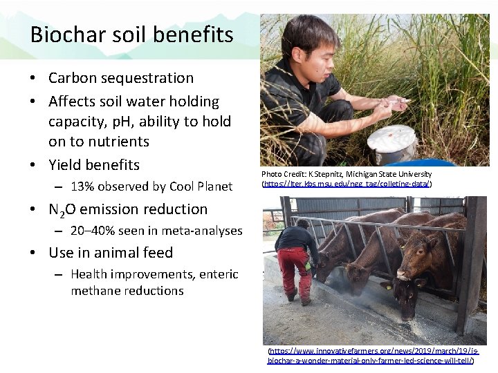 Biochar soil benefits • Carbon sequestration • Affects soil water holding capacity, p. H,