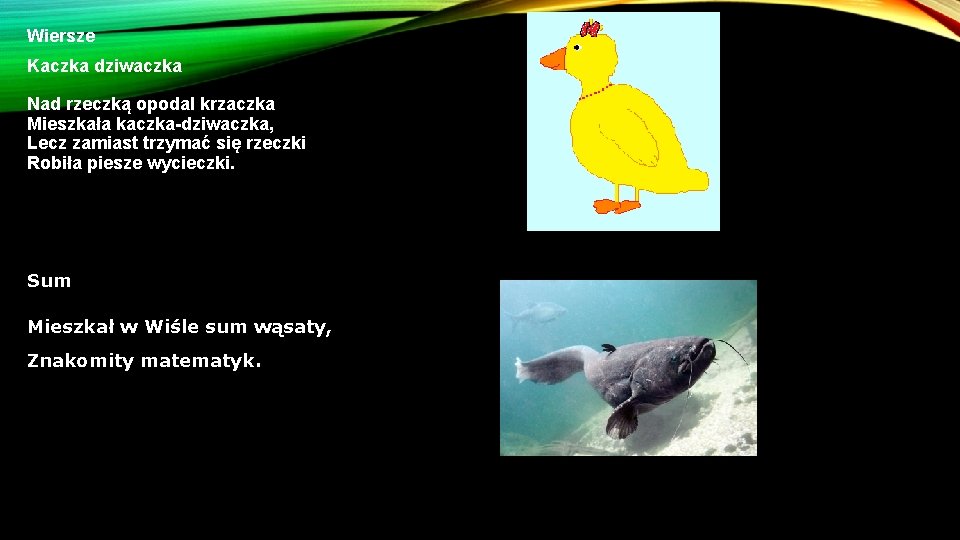 Wiersze Kaczka dziwaczka Nad rzeczką opodal krzaczka Mieszkała kaczka-dziwaczka, Lecz zamiast trzymać się rzeczki