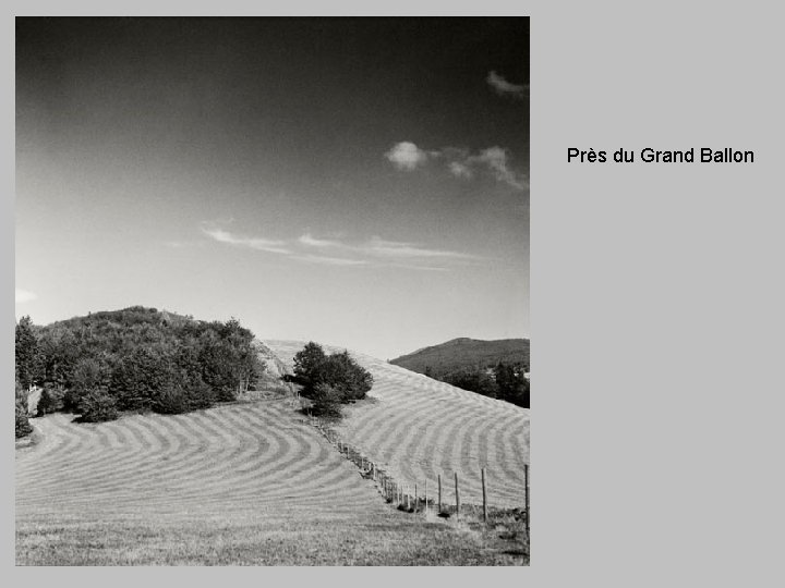 Près du Grand Ballon 