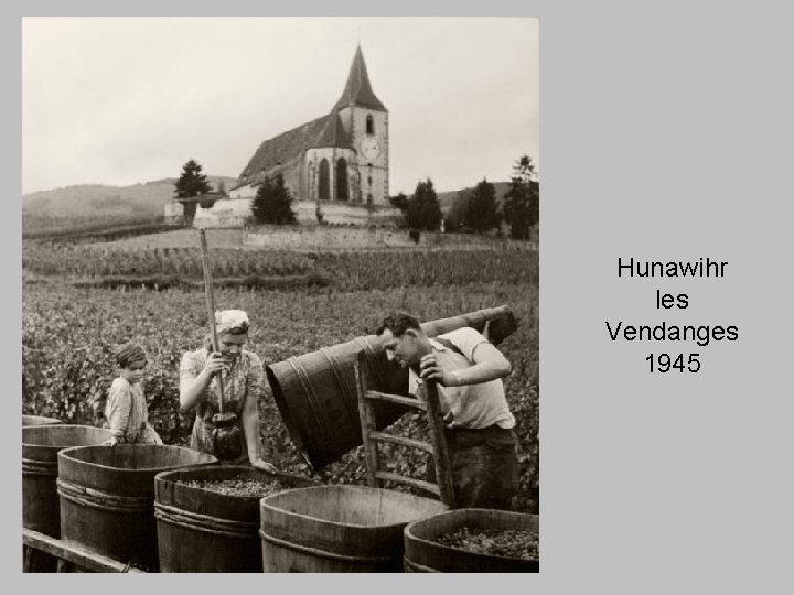 Hunawihr les Vendanges 1945 