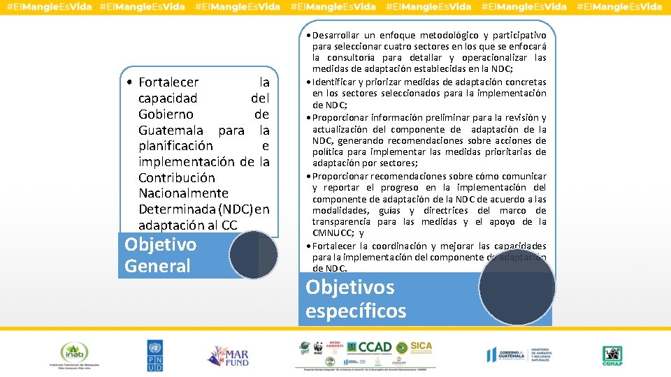  • Fortalecer la capacidad del Gobierno de Guatemala para la planificación e implementación