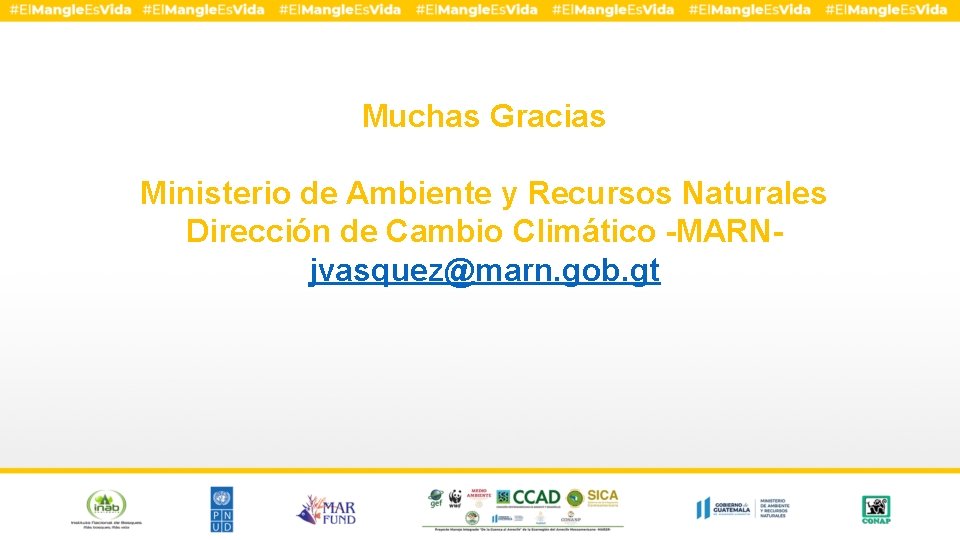 Muchas Gracias Ministerio de Ambiente y Recursos Naturales Dirección de Cambio Climático -MARNjvasquez@marn. gob.
