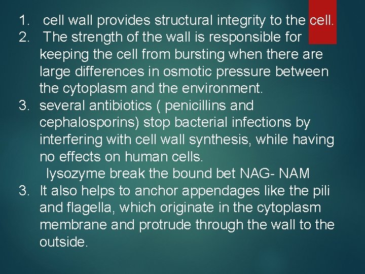 1. cell wall provides structural integrity to the cell. 2. The strength of the